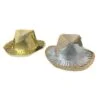 The Shimmer Hat - Image 13