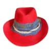 New Denim Collection - Image 2