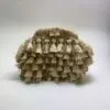 The Desert Clutch - Image 4